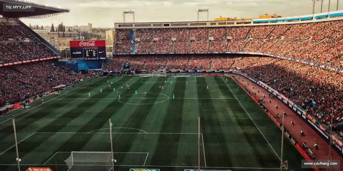 我们的品牌价值